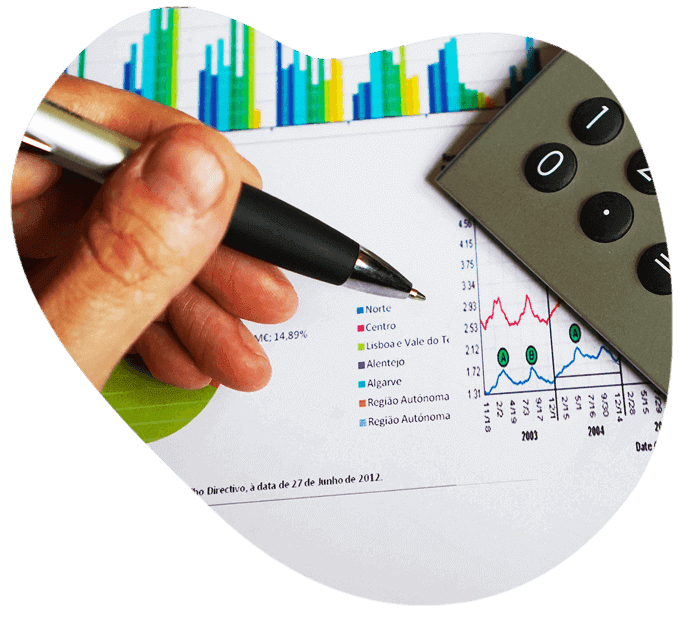 Budget Estimation and Planning